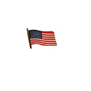 Vintage American Flag‎ Pin